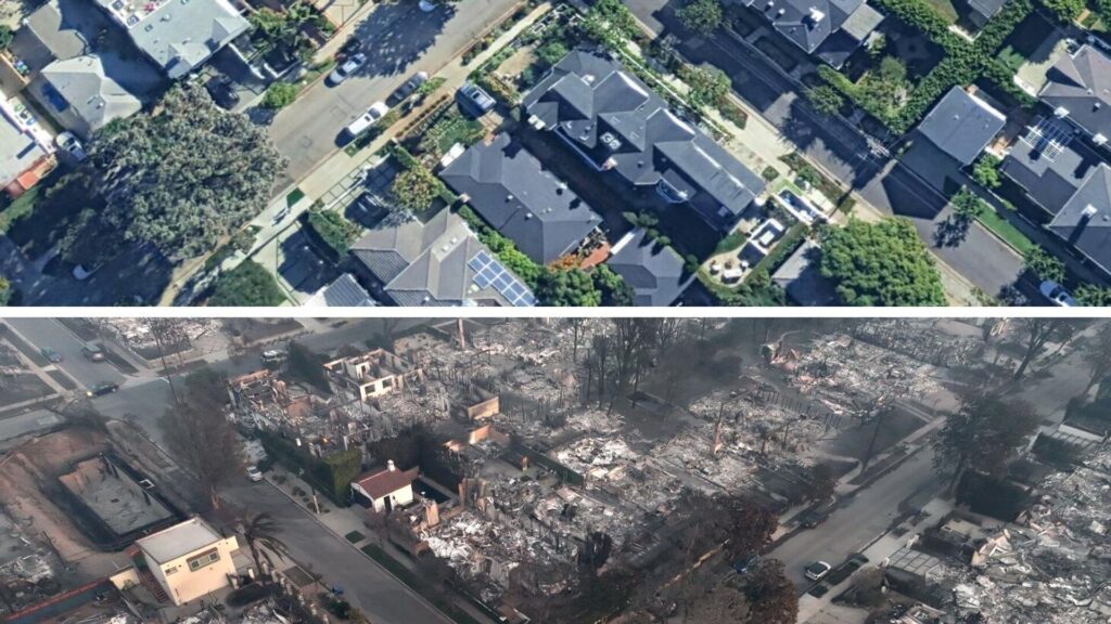 Los Angeles’taki Orman Yangınları, Evsizliğe ve Yüksek Sigorta Maliyetlerine Yol Açtı